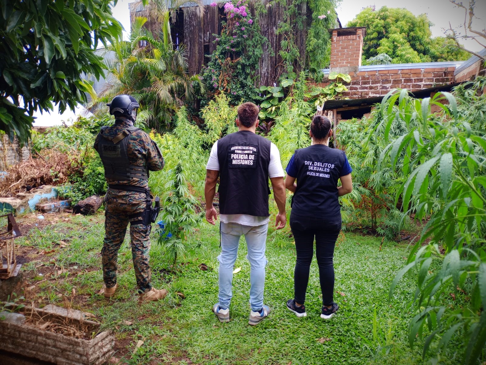 MISIONES FIRME EN LA LUCHA CONTRA EL NARCOTRÁFICO